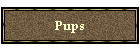 Pups